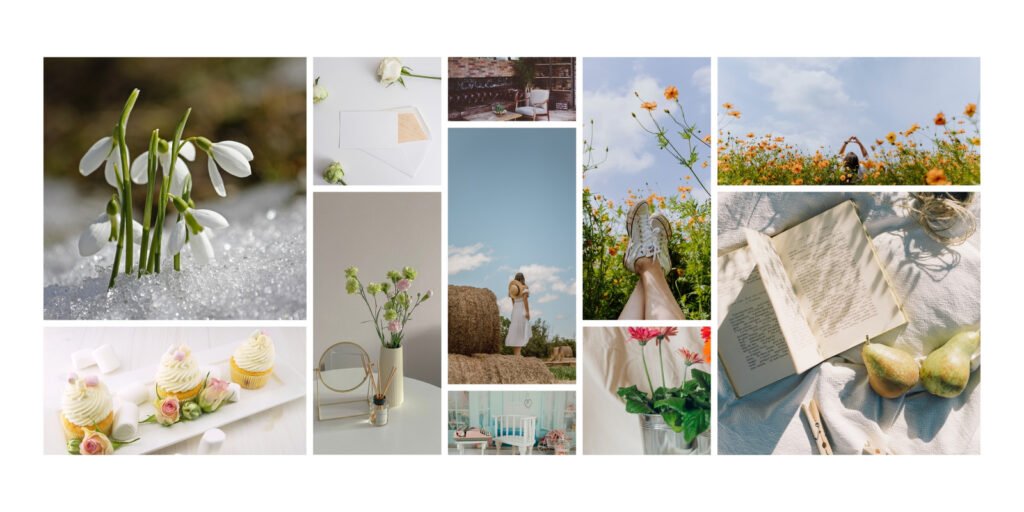 Matcha Gallery Pro
